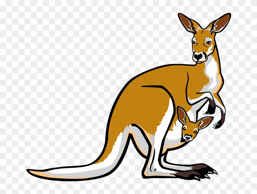 Red Kangaroo Pouch Illustration - Red Kangaroo Pouch Illustration #445073