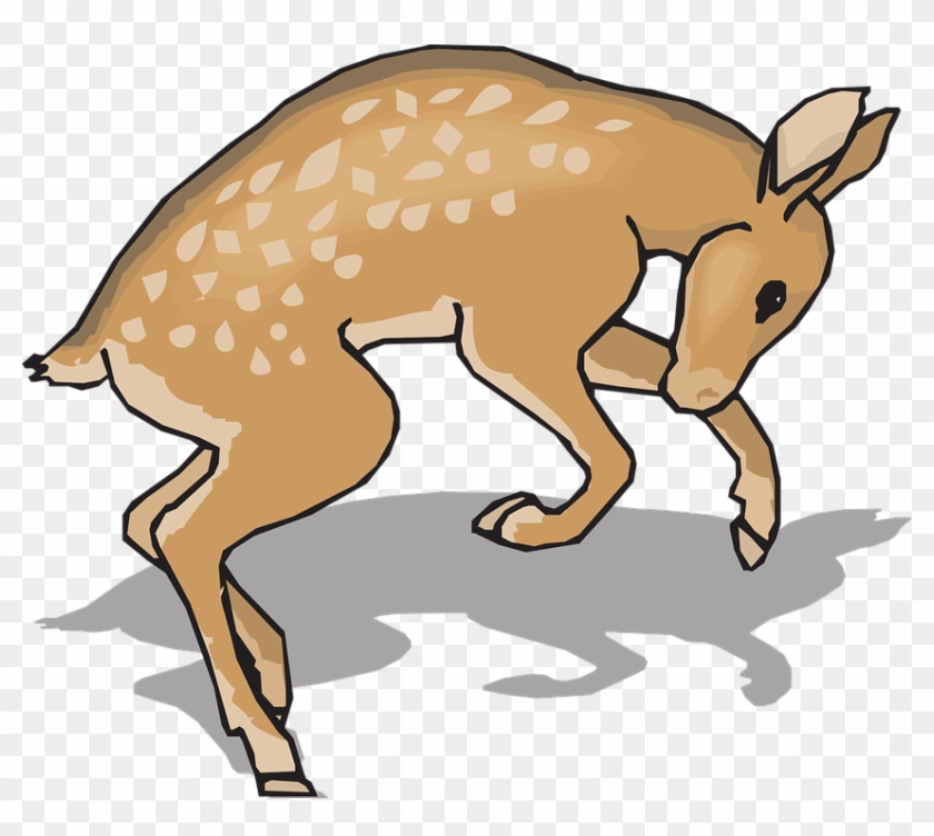 Cartoon Kangaroo 19, - Clip Art #445104