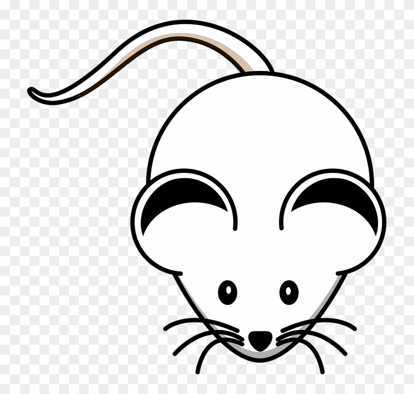 Rodent Clipart Mouse Face - Mouse Black And White Clipart #445248