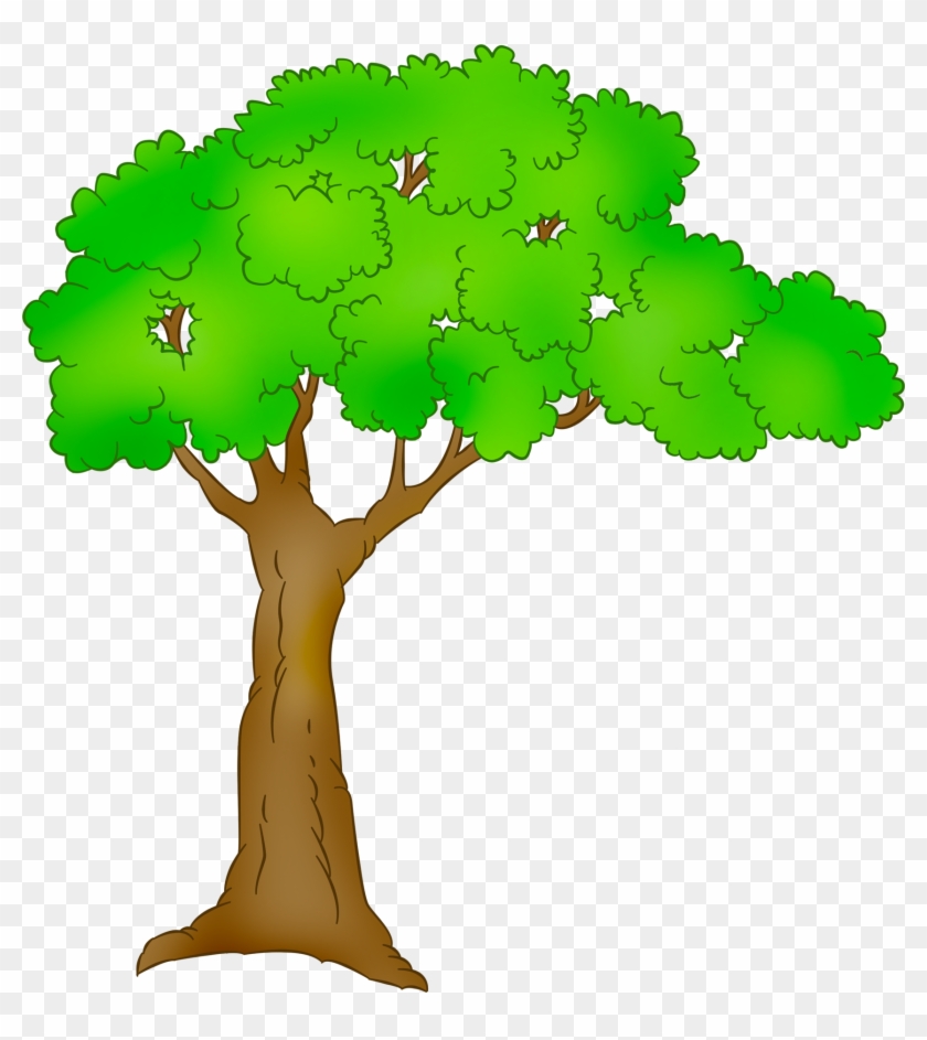 Tree Plant Clip Art - Tree Cartoon Png #445403