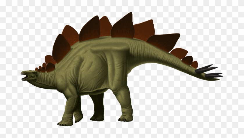 Stegosaurus Dinosaur - Stegosaurua Png #445418
