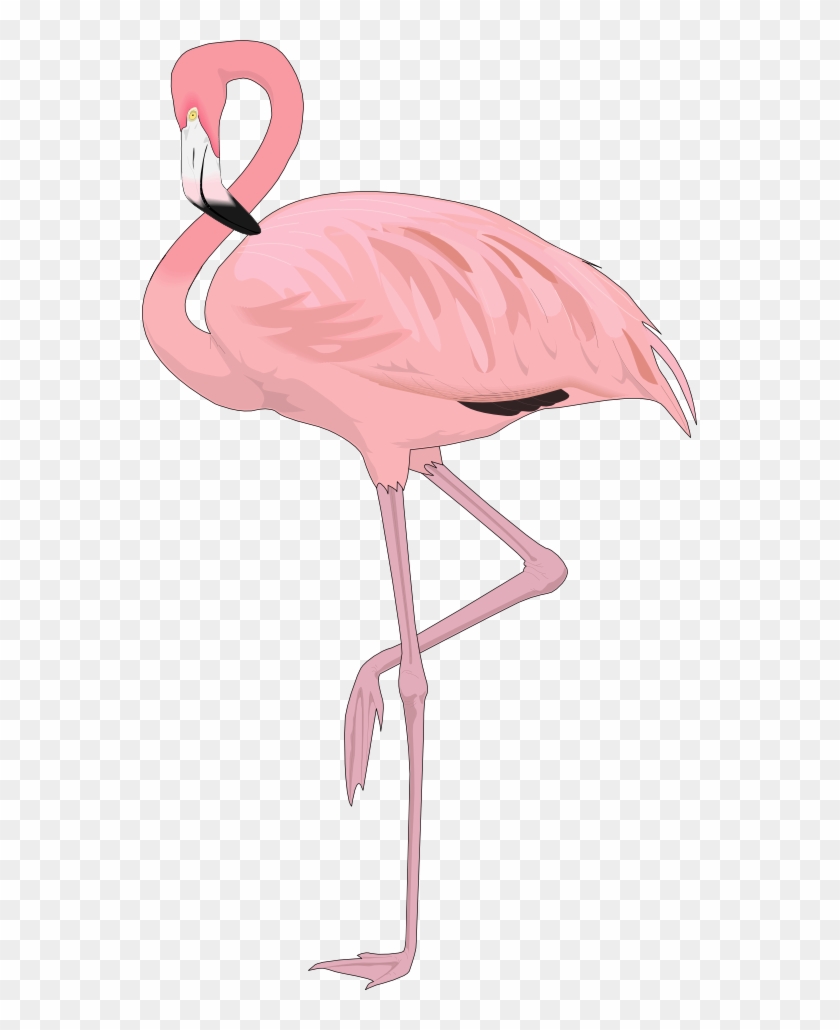 Free Flamingo Clip Art U0026middot Flamingo4 - Free Flamingo Clip Art U0026middot Flamingo4 #445466