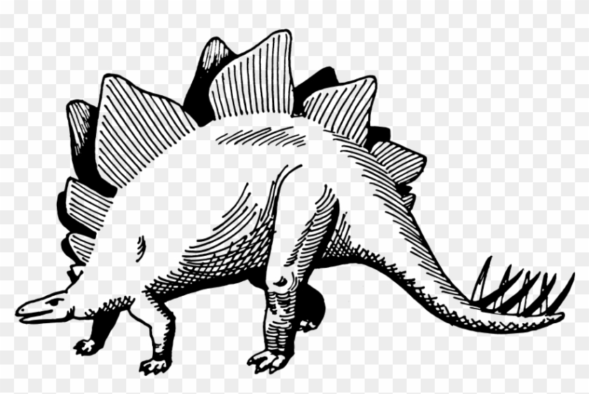 How To Set Use Stegosaurus Svg Vector - Dinosaur Black And White Drawing #445600