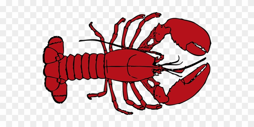 Lobster Red Crab Crustacean Lobster Lobste - Crawfish Clip Art #446259