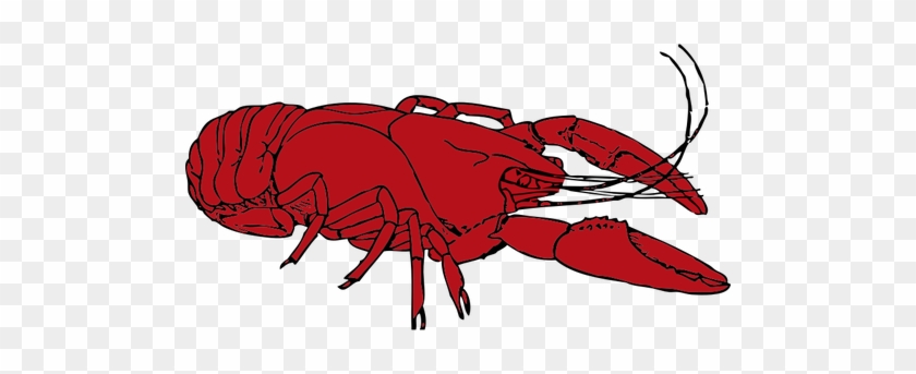 Crayfish Clipart Red - Crawfish Clip Art #446273