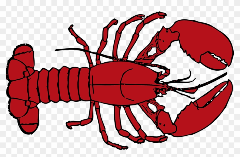 Shellfish Clipart 18, - Crawfish Clip Art #446324