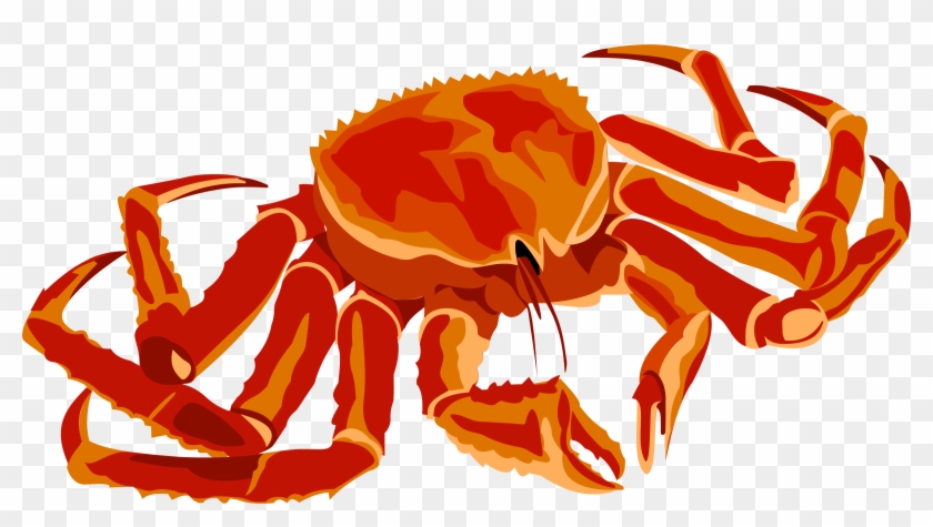 Red King Crab Clip Art - King Crab Sticker (rectangle) #446331
