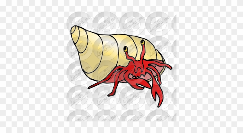 Hermit Crab Clipart Lobster - Hermit Crab #446522