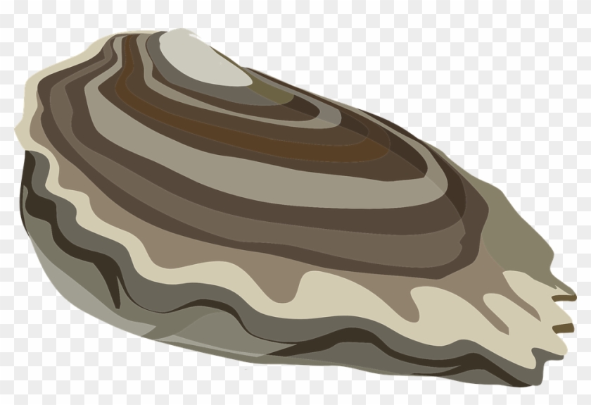 Mussels Clipart Oyster - Oyster Sticker #446663