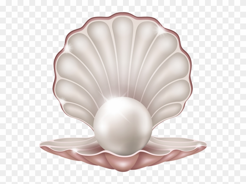 Beautiful Clam With Pearl Png Clipart Image - Clam With Pearl Clipart #446708