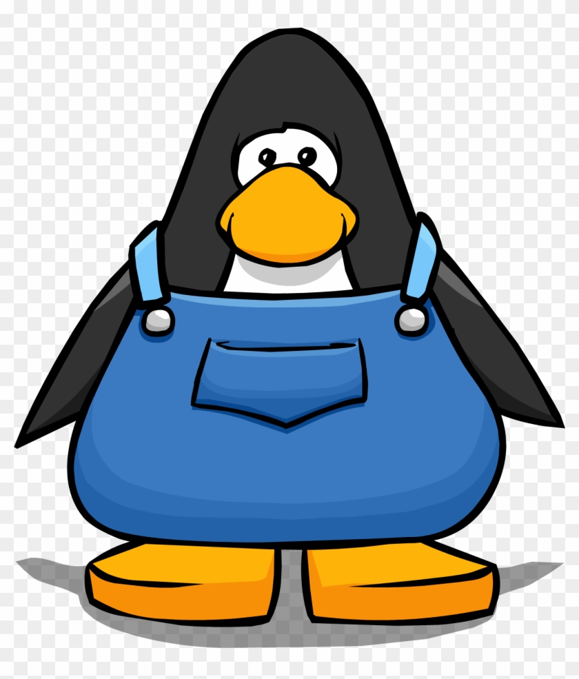 Book Room, Club Penguin Wiki