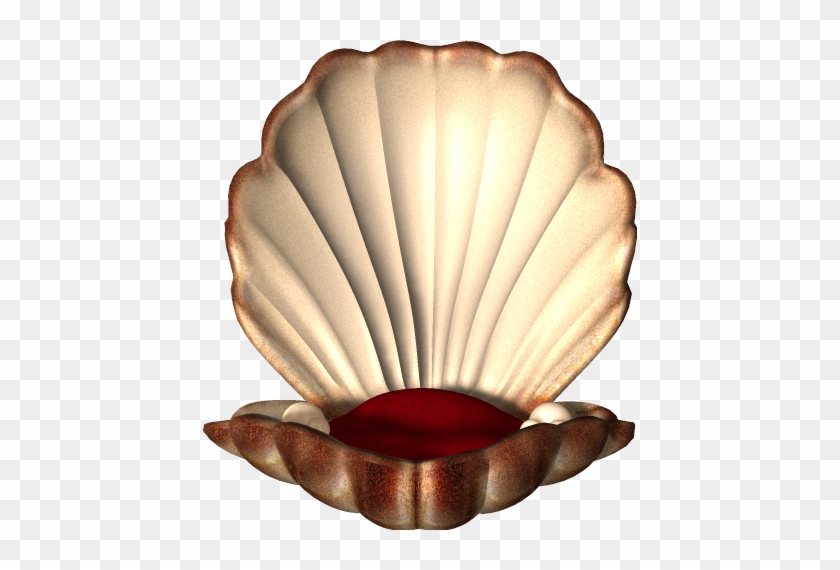 Scallop #446765