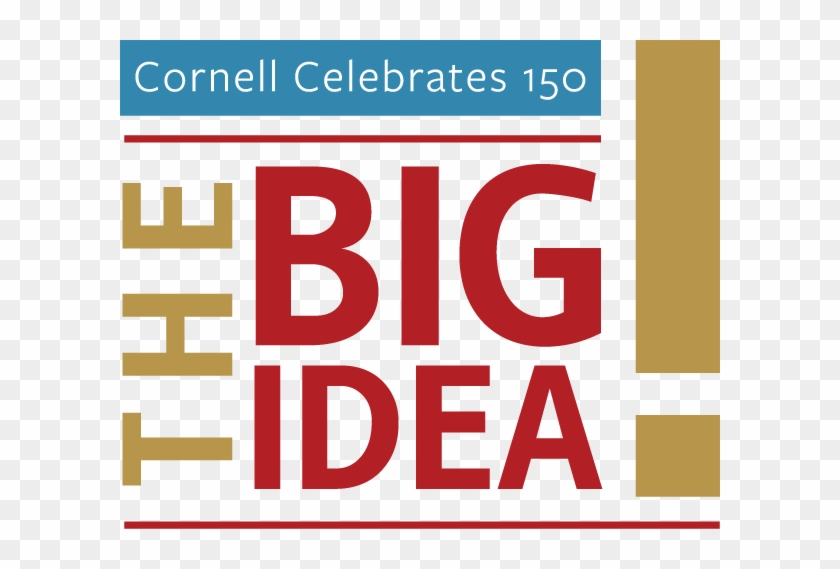 The Big Idea - Bereavision #447185