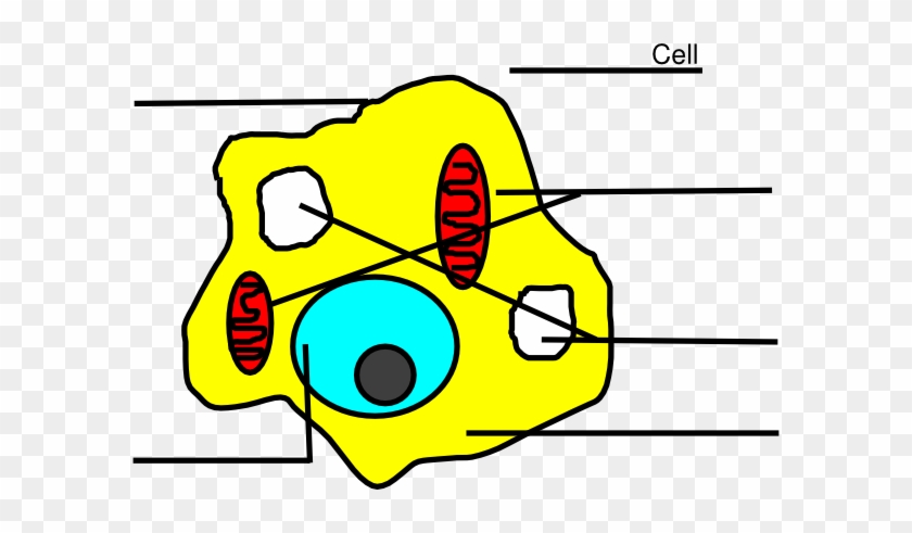 Easy Drawings Of Animal Cells #447378