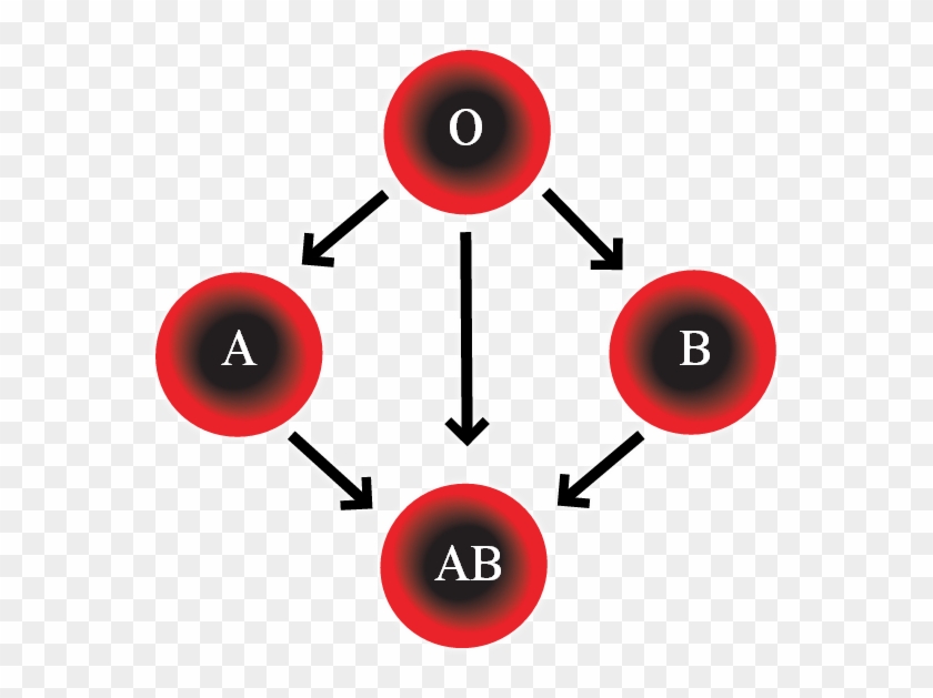 Blood Types - Abo Blood Group System #447471
