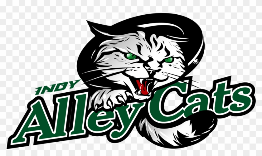 Indianapolis Alleycats #448013