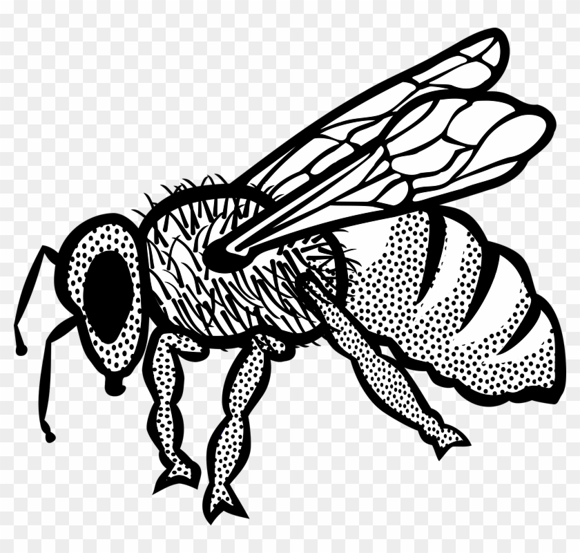 Buy Clip Art - Bee #448132