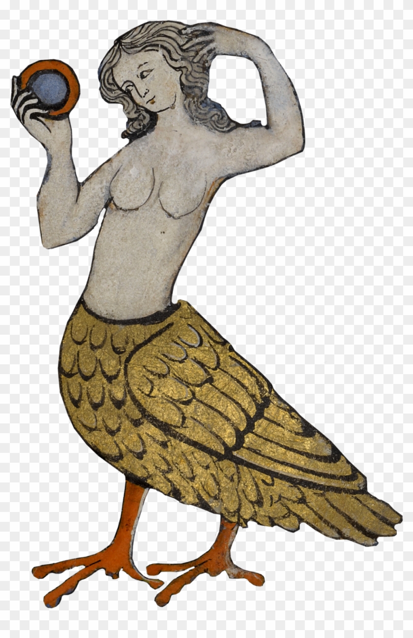 Bird-woman Mermaid, Alluring Siren At Sea, Sings So - Medieval Monsters #448279