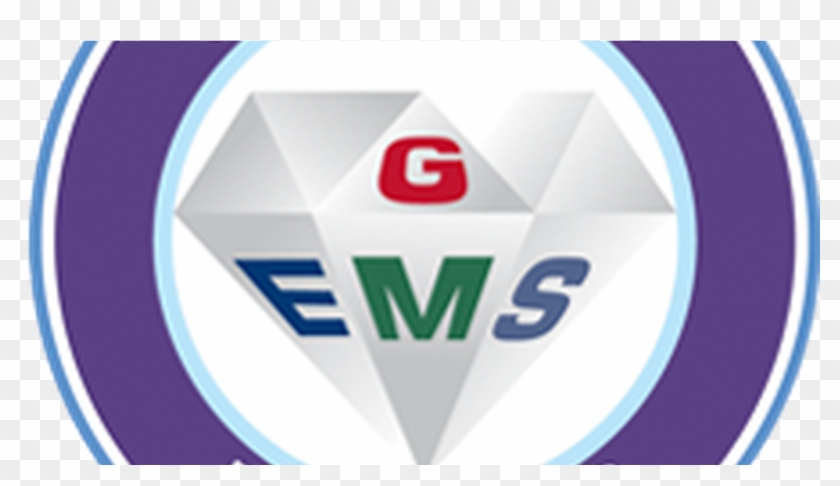 Geriatric Education For Emergency Medical Services - Amls #448421