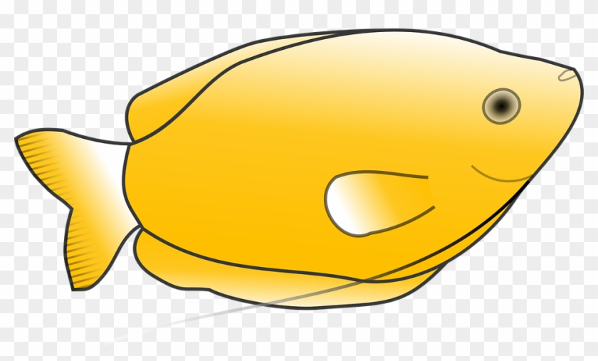 Animal Scale Cliparts - Clip Art Yellow Fish #448735