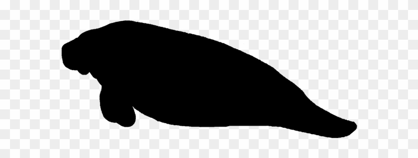 Manatee Clipart Black And White - Manatee Silhouette Vector Free #449037
