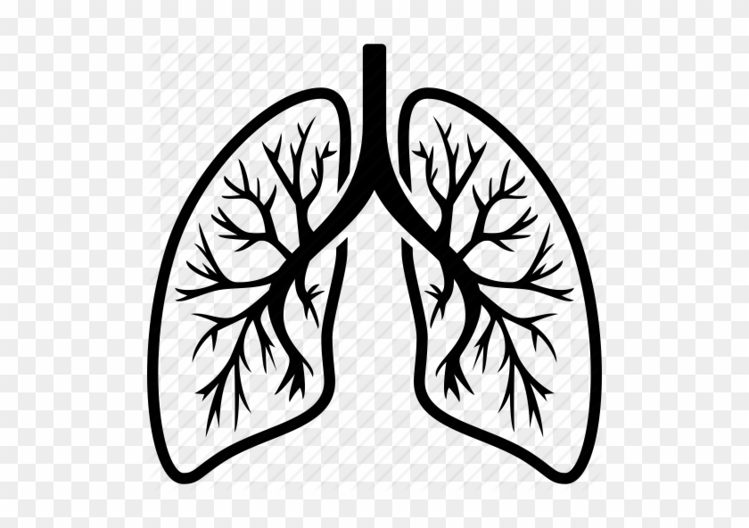 28 Collection Of Lungs Clipart Png - Lung Icon #449552