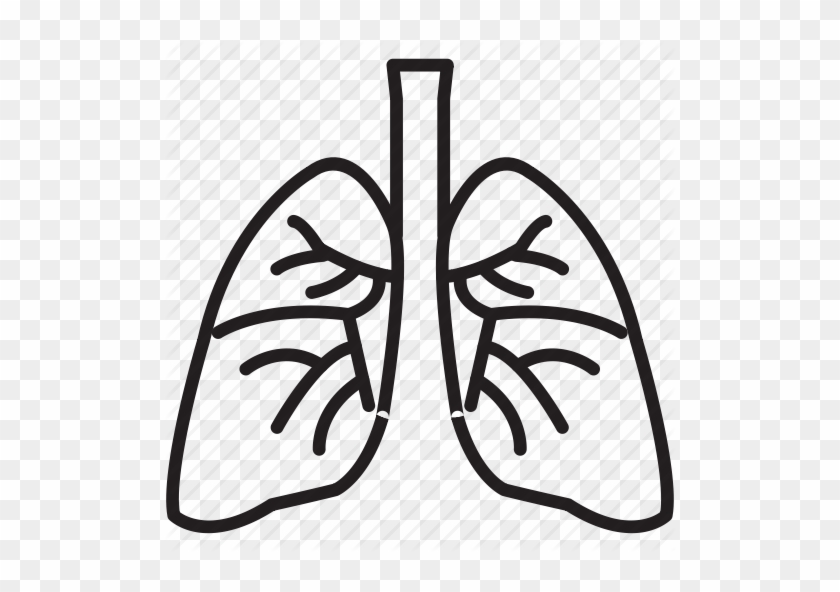 Free Icons Png - Lungs Clipart Transparent Background #449561