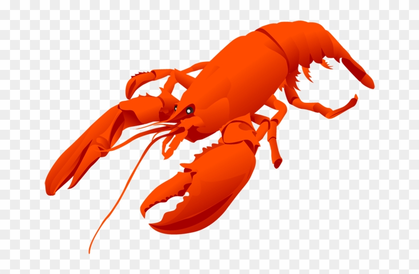 Cartoon Lobster Cofocolorhd Cliparts - Lobster Clipart - Free Transparent  PNG Clipart Images Download