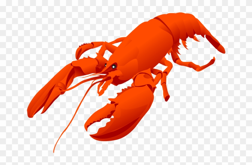 Cartoon Lobster Cofocolorhd Cliparts - Lobster Clipart #449635