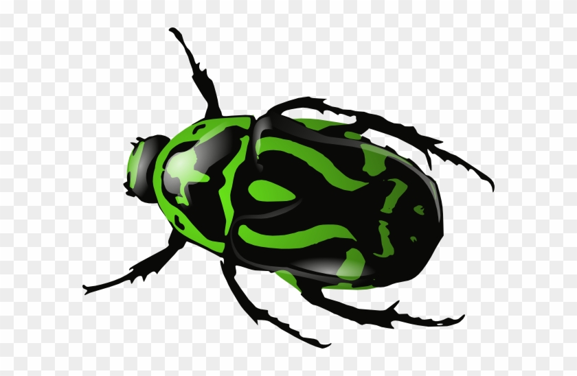 Free Vector Green Beetle Clip Art - Free Vector Green Beetle Clip Art #449910