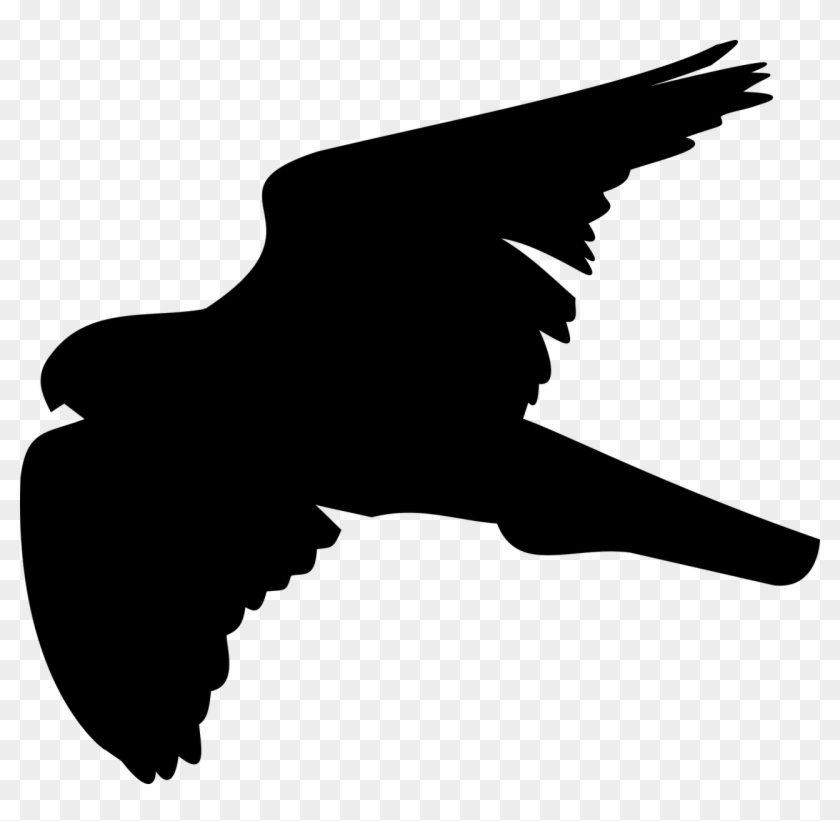 Hawk Clipart Bird Shadow - Halcón En Png #449937