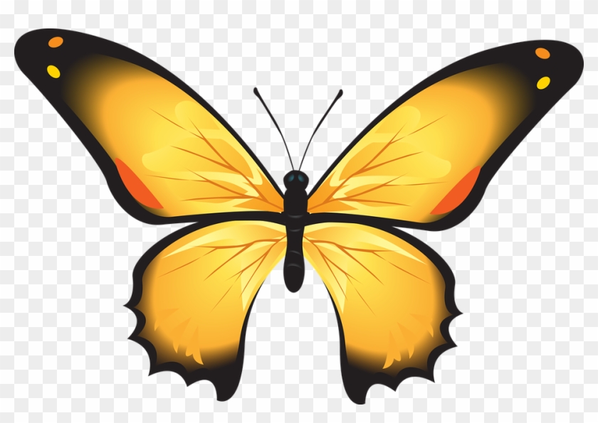 Yellow Butterfly Clipart 15, Buy Clip Art - Sketsa Gambar Kupu Kupu Berwarna #449957