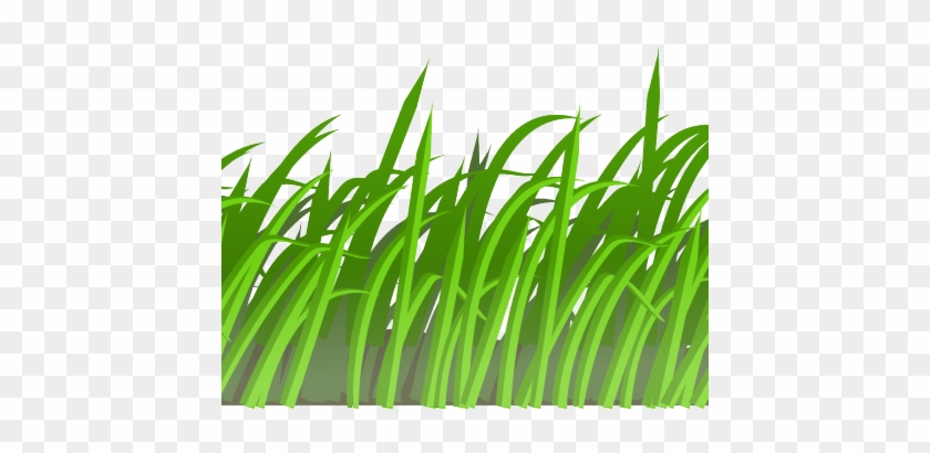 Rg 1 24 Grass Texture Scalable Vector Graphics Svg - Patch Of Grass Cartoon #450163
