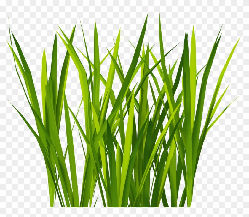 New Textures Billboard Grass - Grass For Unity #450187
