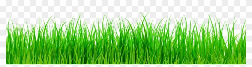 Green Grass Png Clip Art - Grass Clipart Png #450194