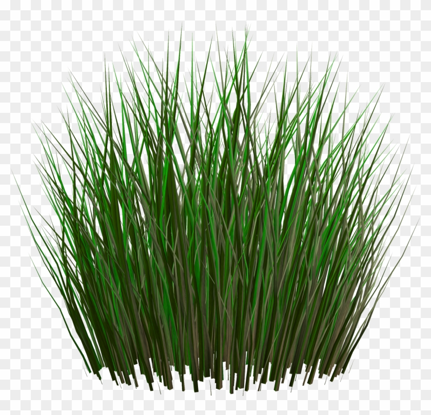 Digital Collaboration - Grass Texture Png #450199