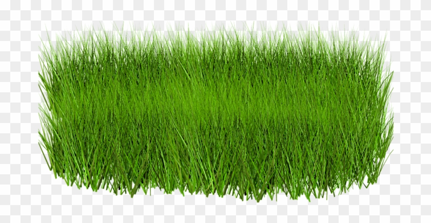 Grass Png Image, Green Picture - Green Grass Images Png #450205