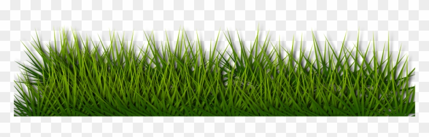 Background Border Grass Green Herb Landsca - Grass Floor Png #450212