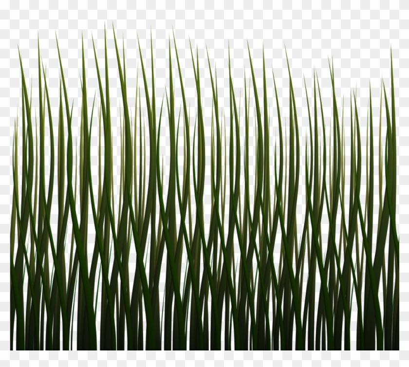 1024 X 1024 Png - Grass #450235