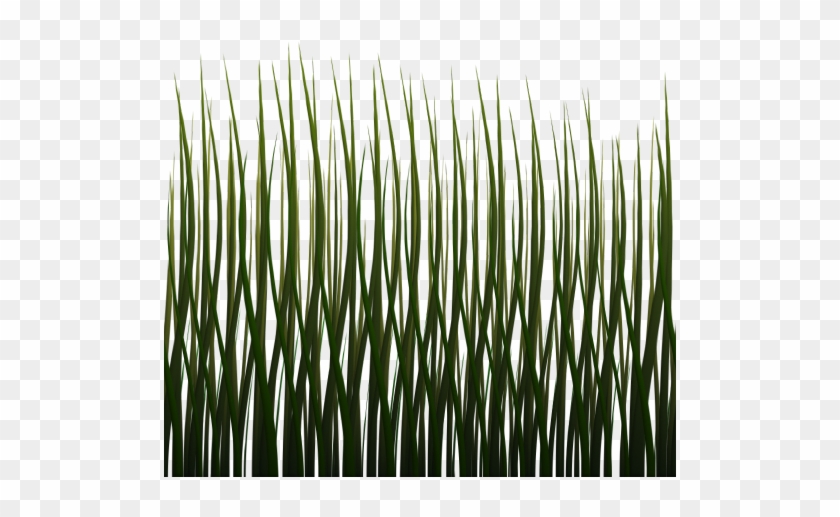 1024 X 1024 Png - Grass Side Texture #450238