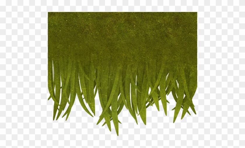 Generic Grassoverhang2 Col - Grass Overhang Texture #450251