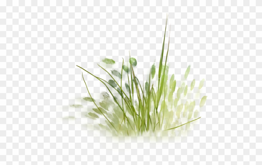 Nld Grass - Watercolor Grass Png #450299