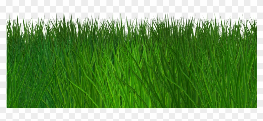 Border Grass Seamless Transparent Background Free - Grass Transparent Background Png #450310