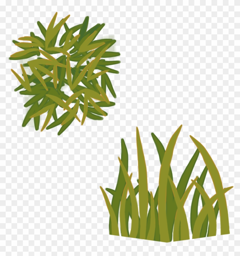 Grass Texture - Portable Network Graphics #450350