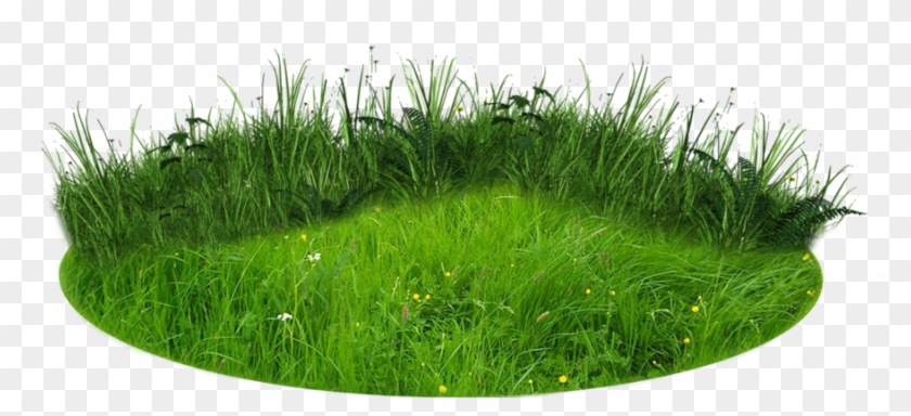 There Grass Png Image - Grass Effect Png #450362