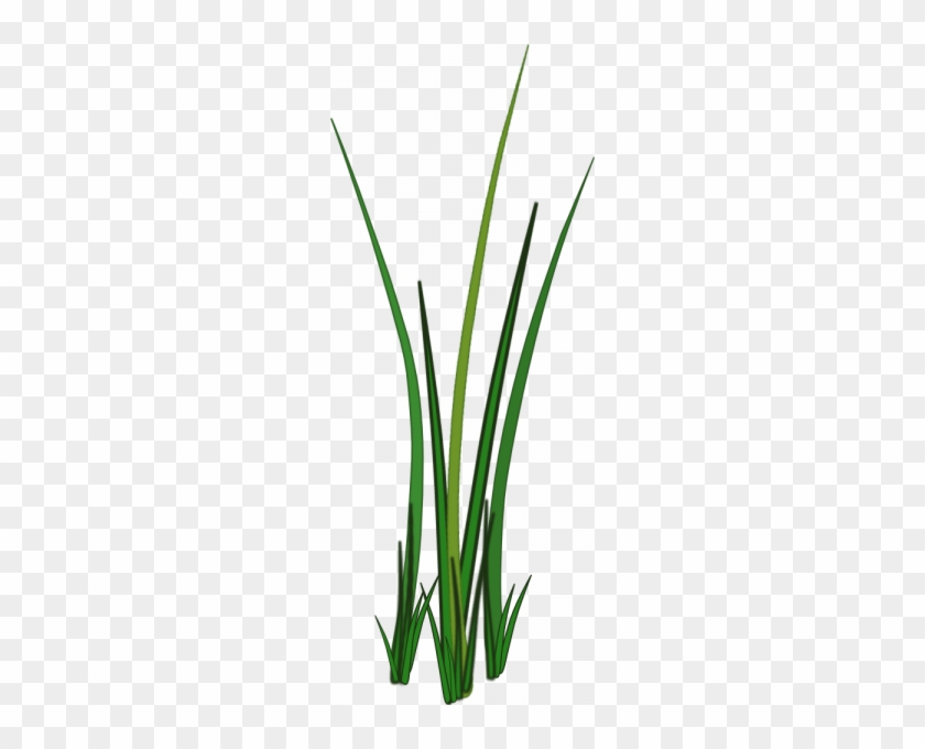 Grass For Tubes - Grass Png #450364