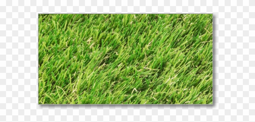 Comfortable Luxury Artificial Grass - Women's Nomow Luxury Garden Artificial Grass, 4x5m #450371