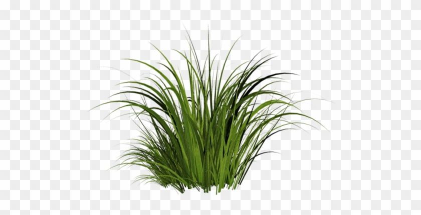 Free Icons Png - Small Patch Of Grass #450373