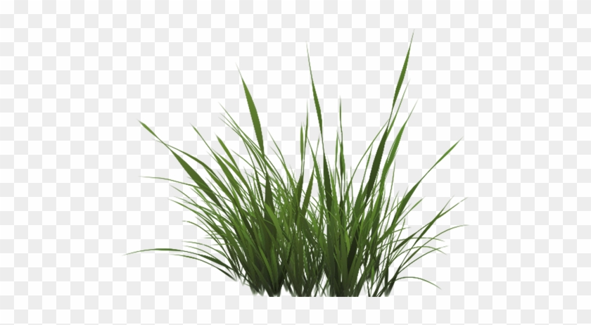 Free Icons Png - Grass Alpha Texture Png #450375