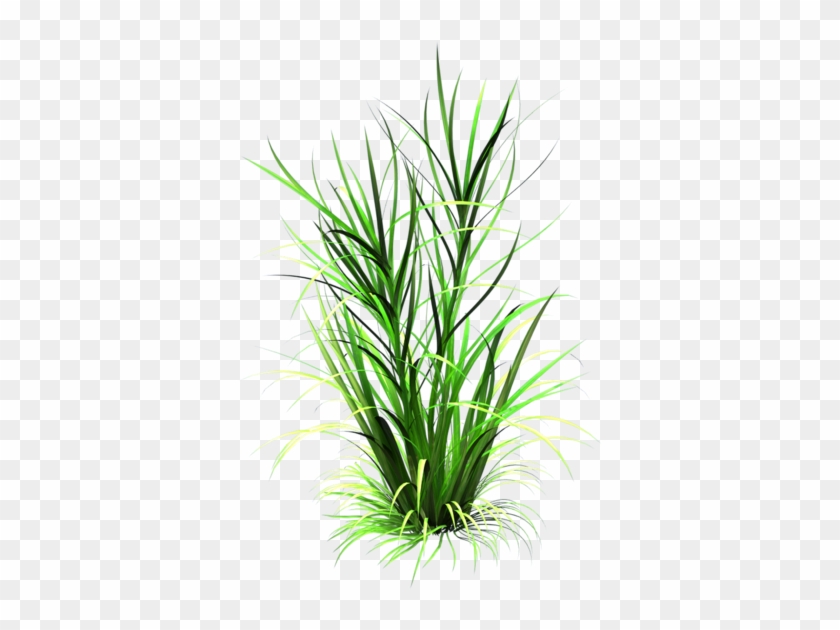 Cartoon Grass Texture - Sweet Grass #450376